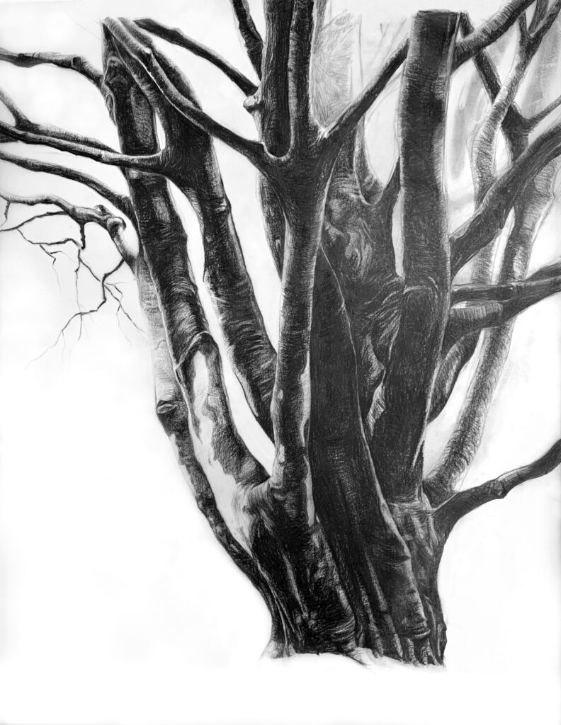 Nos engagements responsables